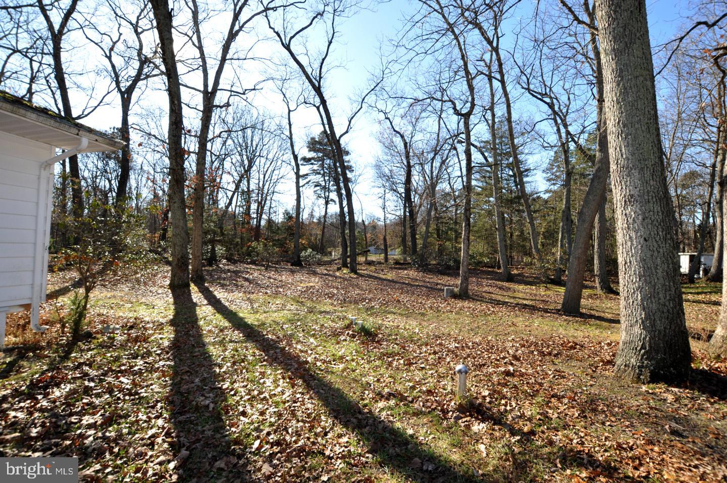 5 Riedel Drive Tabernacle, NJ 08088 - Photo 26 of 31