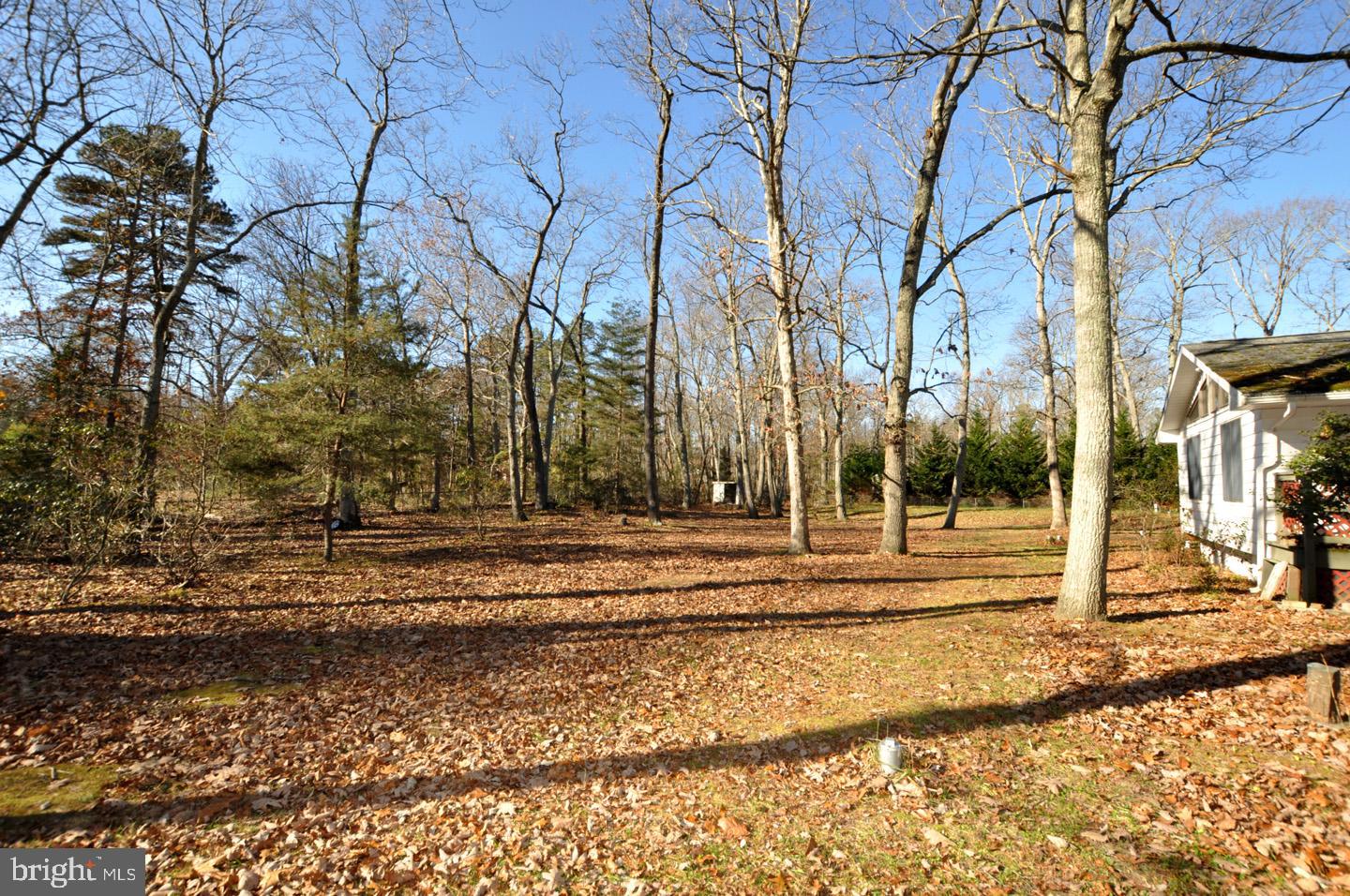 5 Riedel Drive Tabernacle, NJ 08088 - Photo 27 of 31