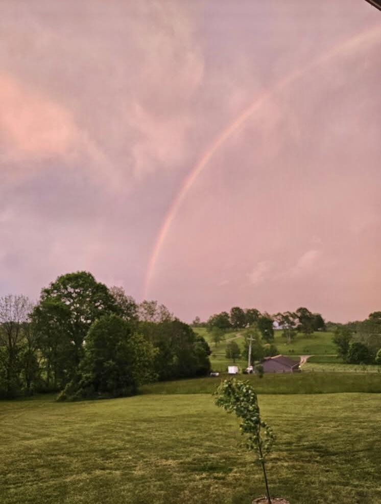 784 Locust Fork Road Stamping Ground, KY 40379 - Photo 47 of 50 image000001