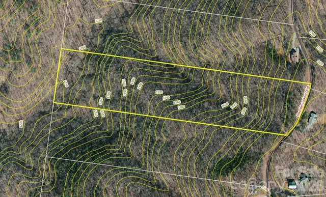 a view of a yard with a trees