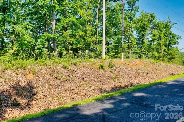 a view of a yard with plants