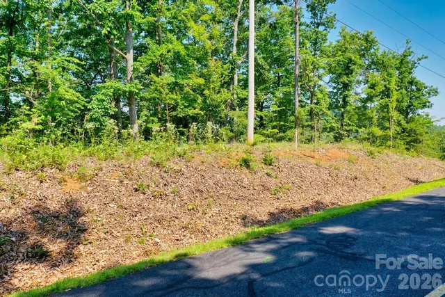a view of a yard with plants
