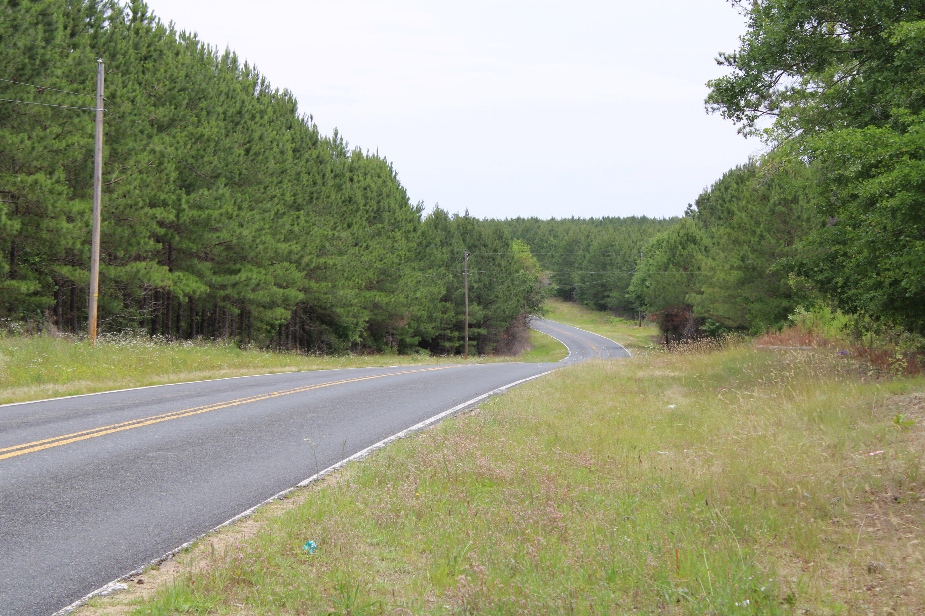 4 New Holland Road Aiken, SC 29805 - Photo 3 of 5