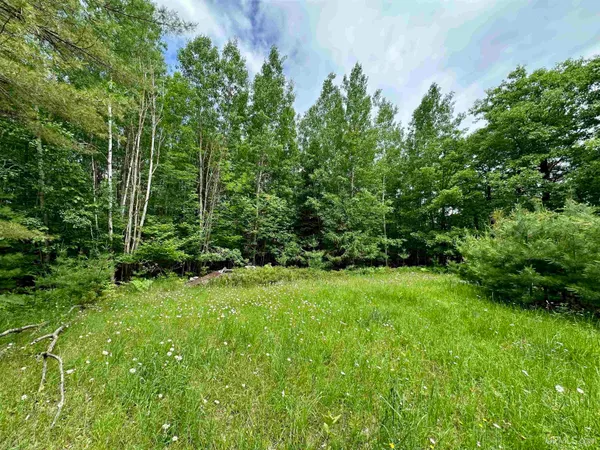 $64,900 | Tbd Tbd Homestead Road, Vulcan, MI 49892