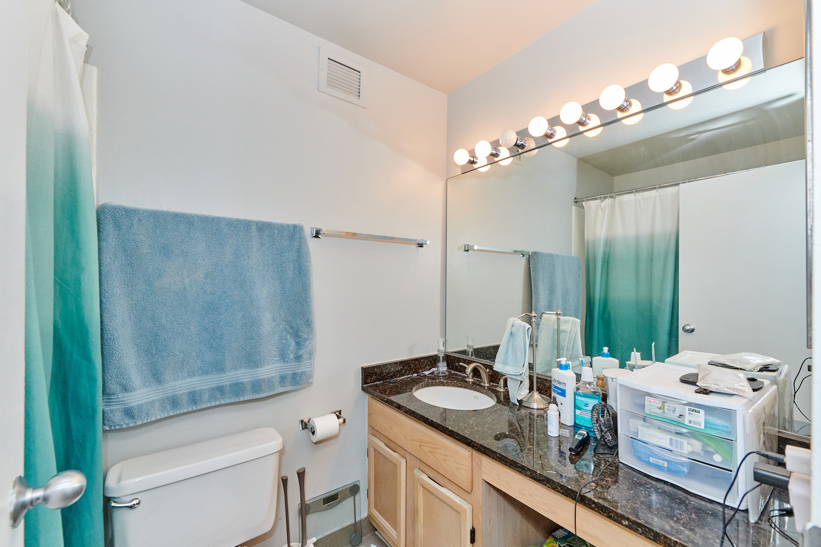 200 North Dearborn Street, Unit 4608 Chicago, IL 60601 - Photo 11 of 26 a bathroom with a granite countertop sink a toilet a mirror a vanity and shower