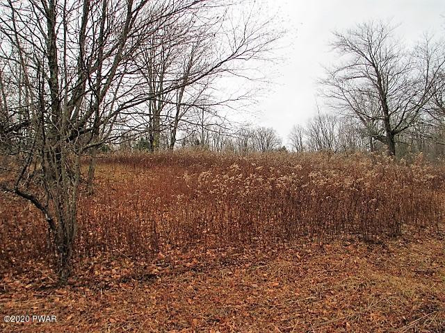 276 Goose Pond Road Lake Ariel, PA 18436 - Photo 4 of 11