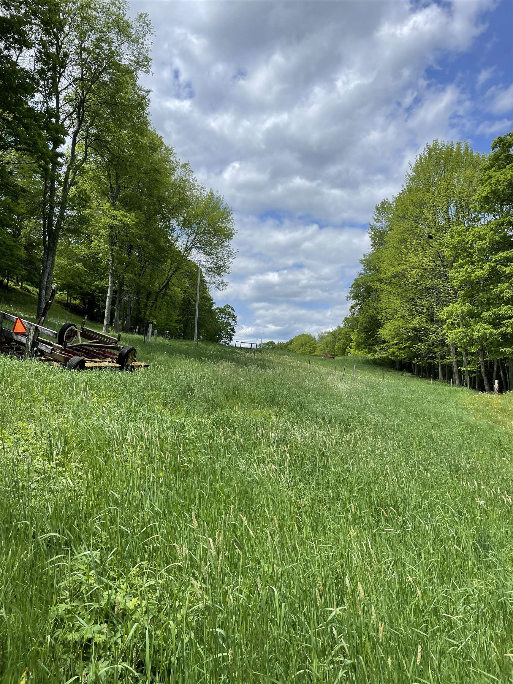 234 Randall Road Woodstock, VT 05091 - Photo 5 of 14