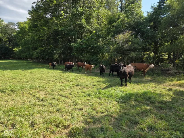 $548,000 | 2691 North County Road 190 West, Greencastle, IN 46135