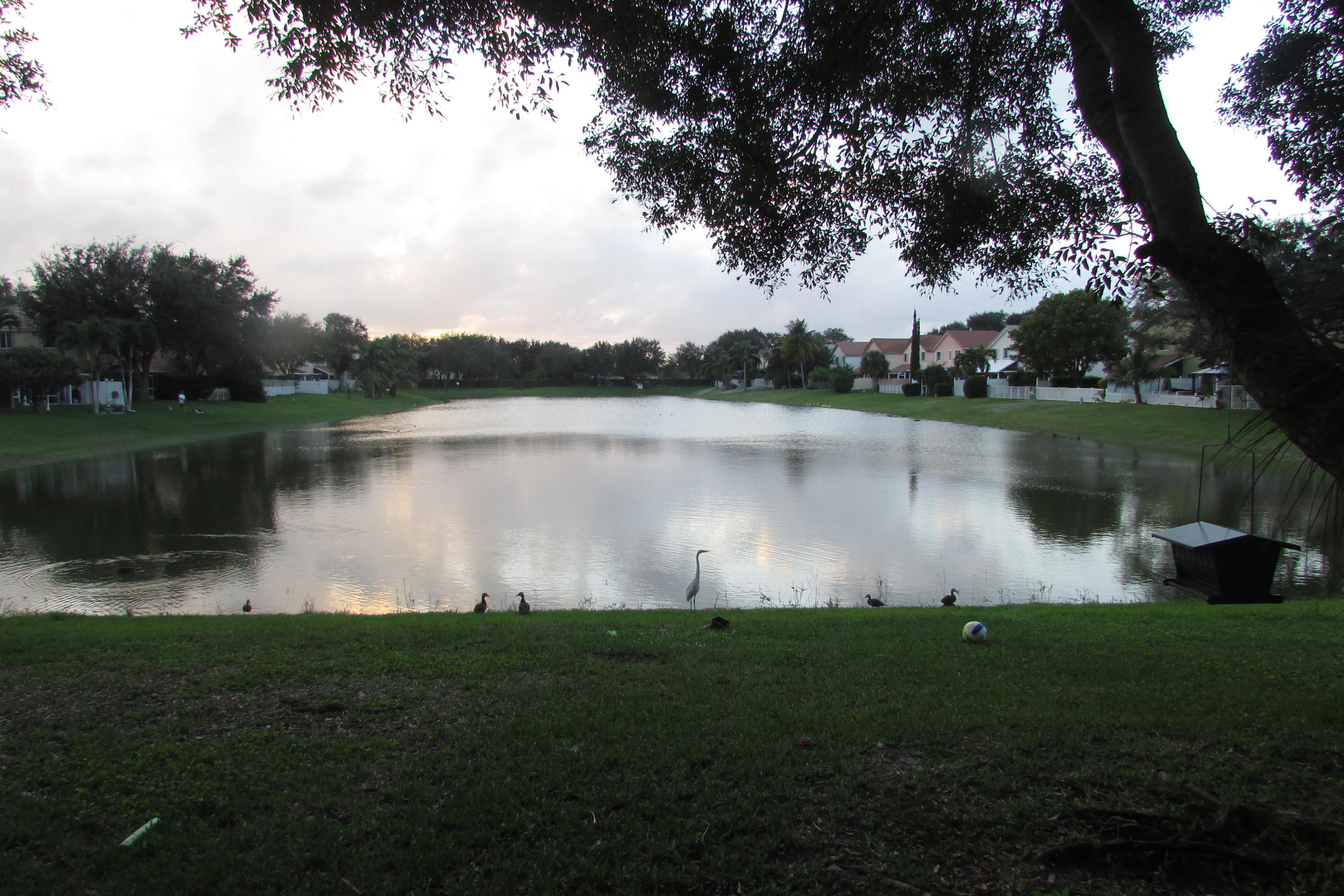 10316 Sunstream Lane Boca Raton, FL 33428 - Photo 7 of 27 IMG_1834