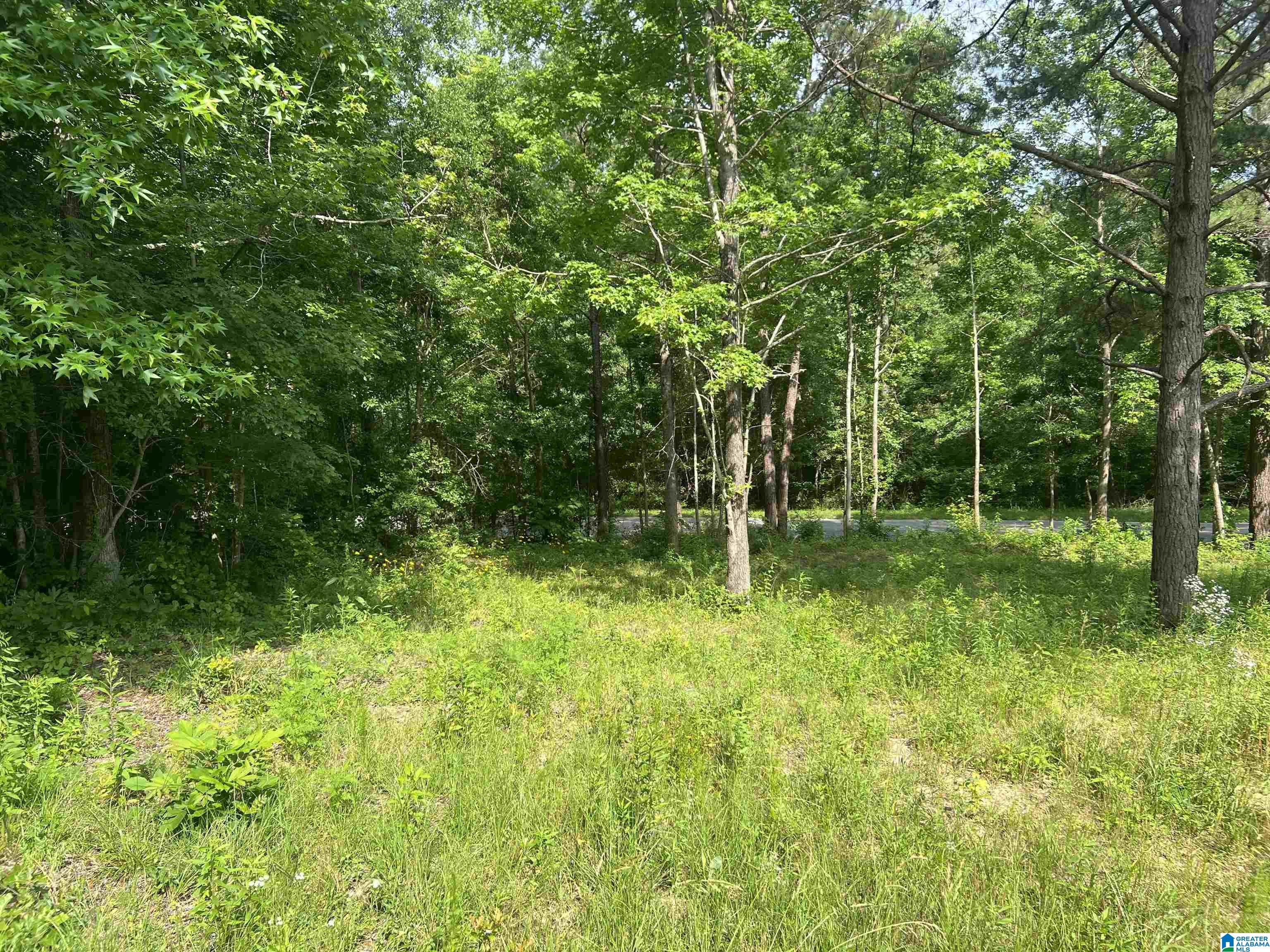 0 County Road 91, Unit 1 Montevallo, AL 35115 - Photo 4 of 4