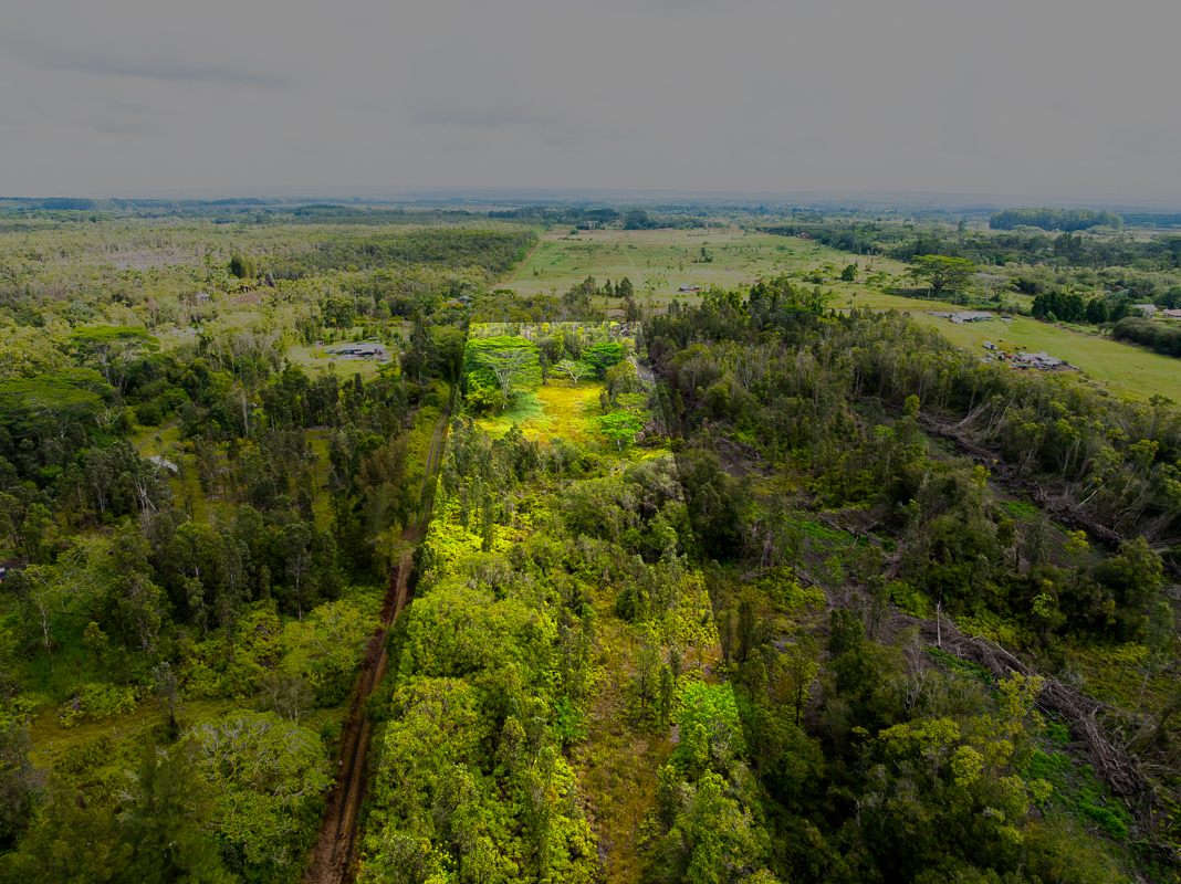 a view of an outdoor space and a yard
