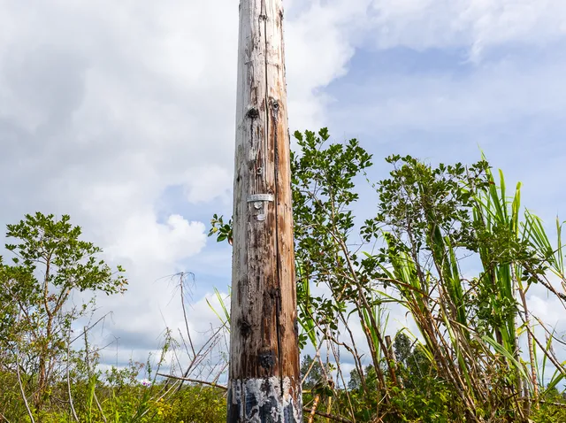 $275,000 | 18-7999 Lot 78-f Kulani Rd Mountain View, Mountain View, HI 96771