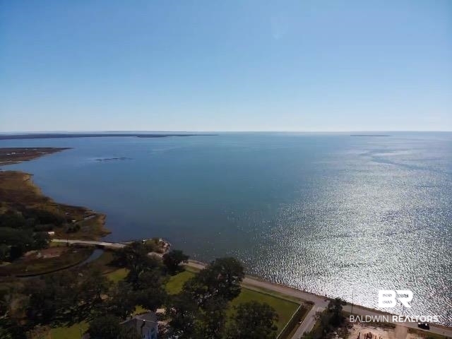 0 Hemley Road Chunchula, AL 36521 - Photo 3 of 19