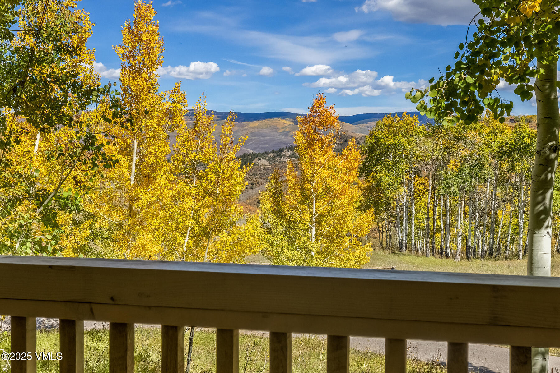 378 Bearden Road Edwards, CO 81632 - Photo 44 of 44 138A8622_1