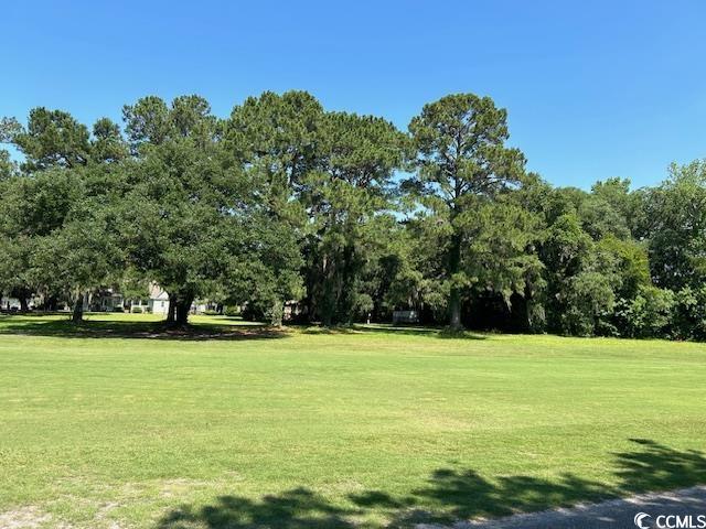 150 Wedgefield Village Road, Unit 24 Georgetown, SC 29440 - Photo 16 of 16 Gallery Image 16