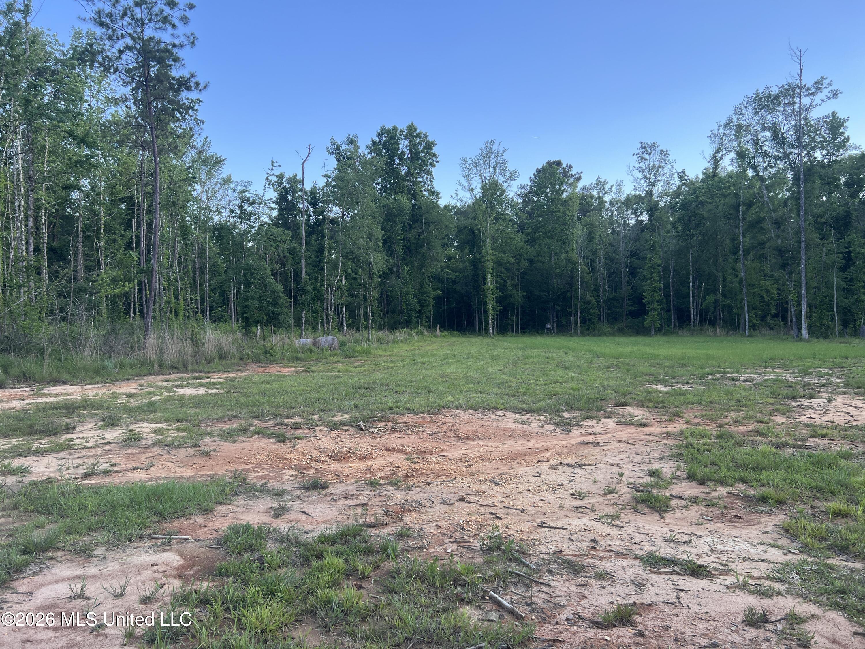 5734 Hebron Road Liberty, MS 39645 - Photo 24 of 32 25.