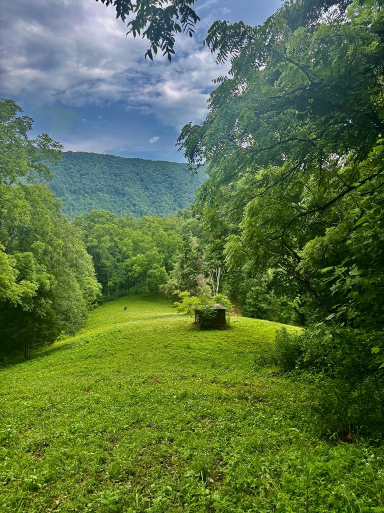 1533 Veterans Road Broadford, VA 24316 - Photo 15 of 42 Gallery Image 15