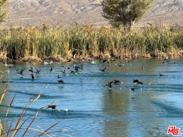 $1,475,000 | 12055 Munsey Road, Cantil, CA 93519