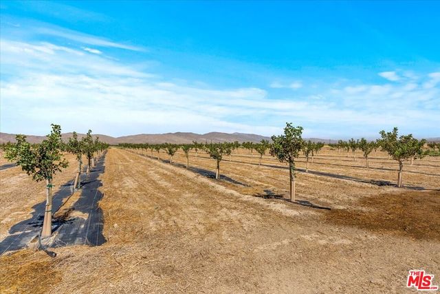 $1,475,000 | 12055 Munsey Road, Cantil, CA 93519