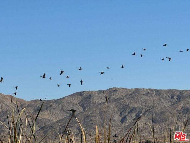 $1,475,000 | 12055 Munsey Road, Cantil, CA 93519