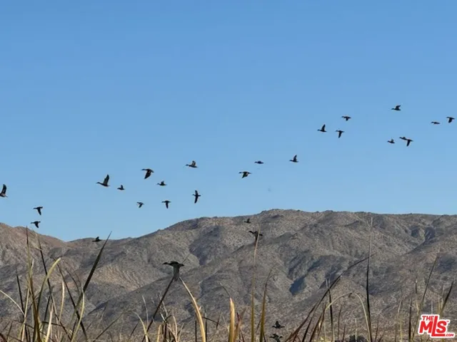 $1,475,000 | 12055 Munsey Road, Cantil, CA 93519