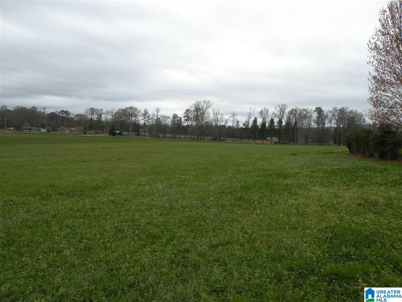 734 Branch Road Alpine, AL 35014 - Photo 32 of 33