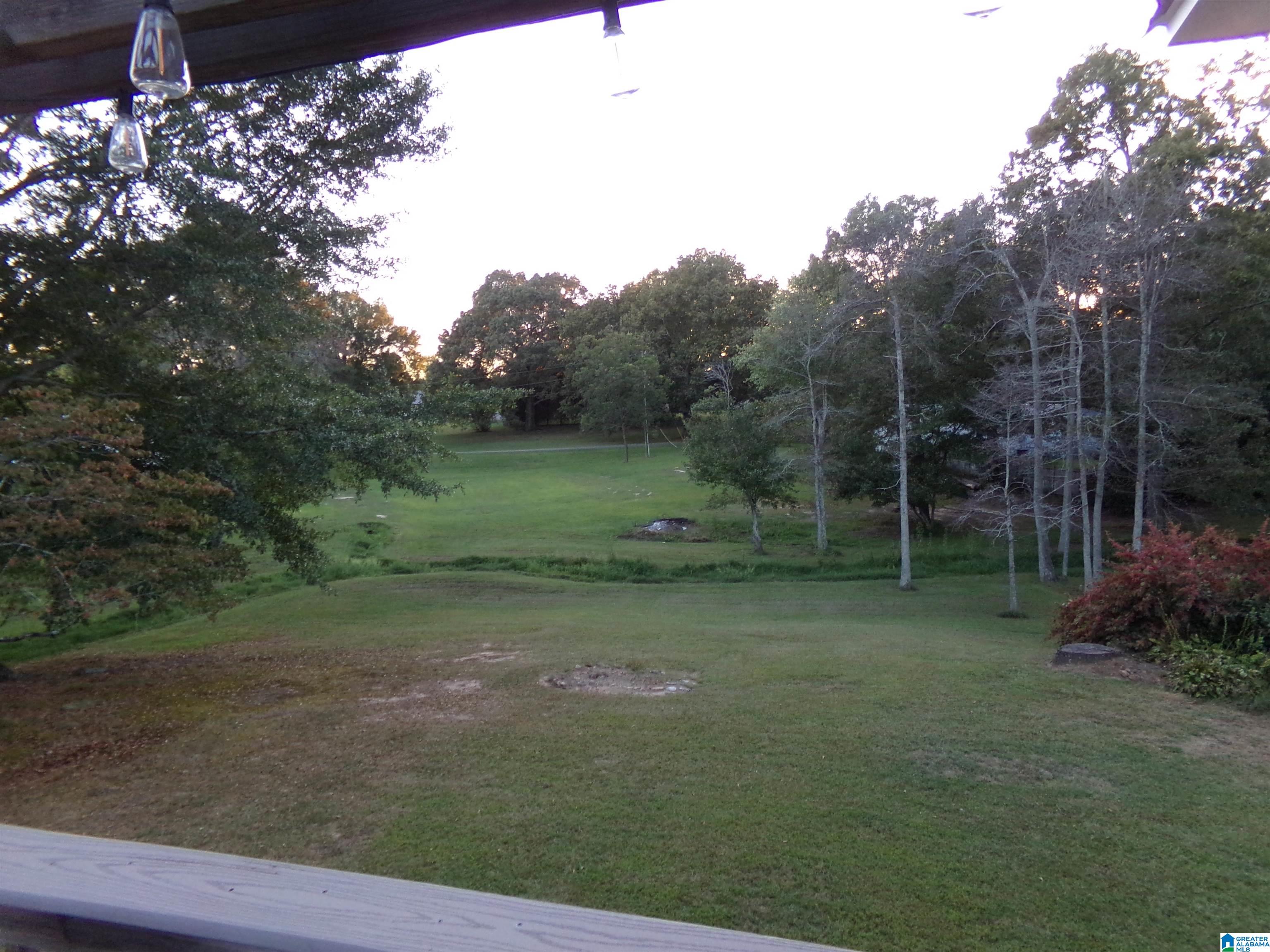 1035 Union Grove Road North Crossville, AL 35962 - Photo 66 of 99