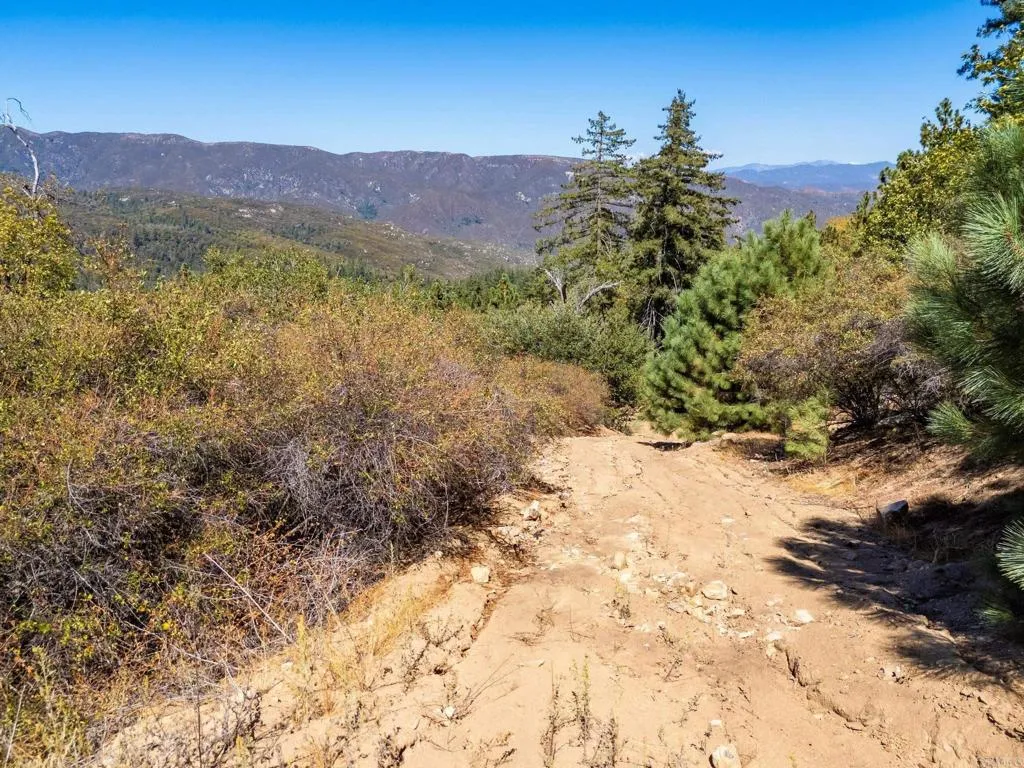 61 East Grade Road Palomar Mountain, CA 92060 - Photo 26 of 26 Gallery Image 26