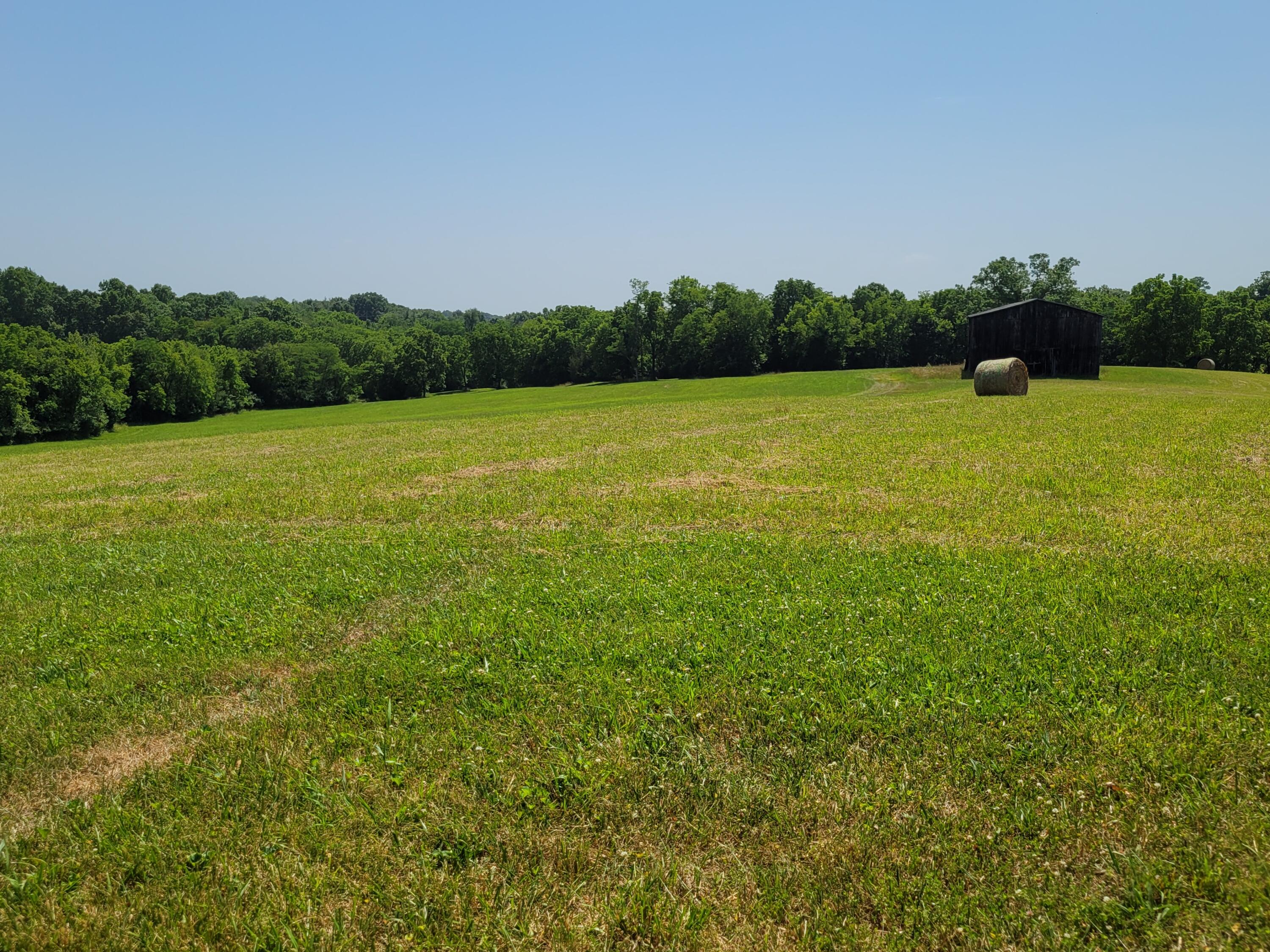4897 Fords Mill Road Versailles, KY 40383 - Photo 19 of 52 20220614_152307