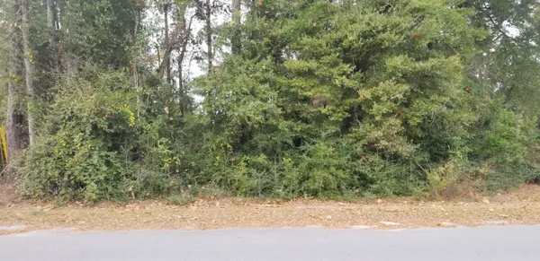 $11,000 | 0 North Lemacks Street, Walterboro, SC 29488
