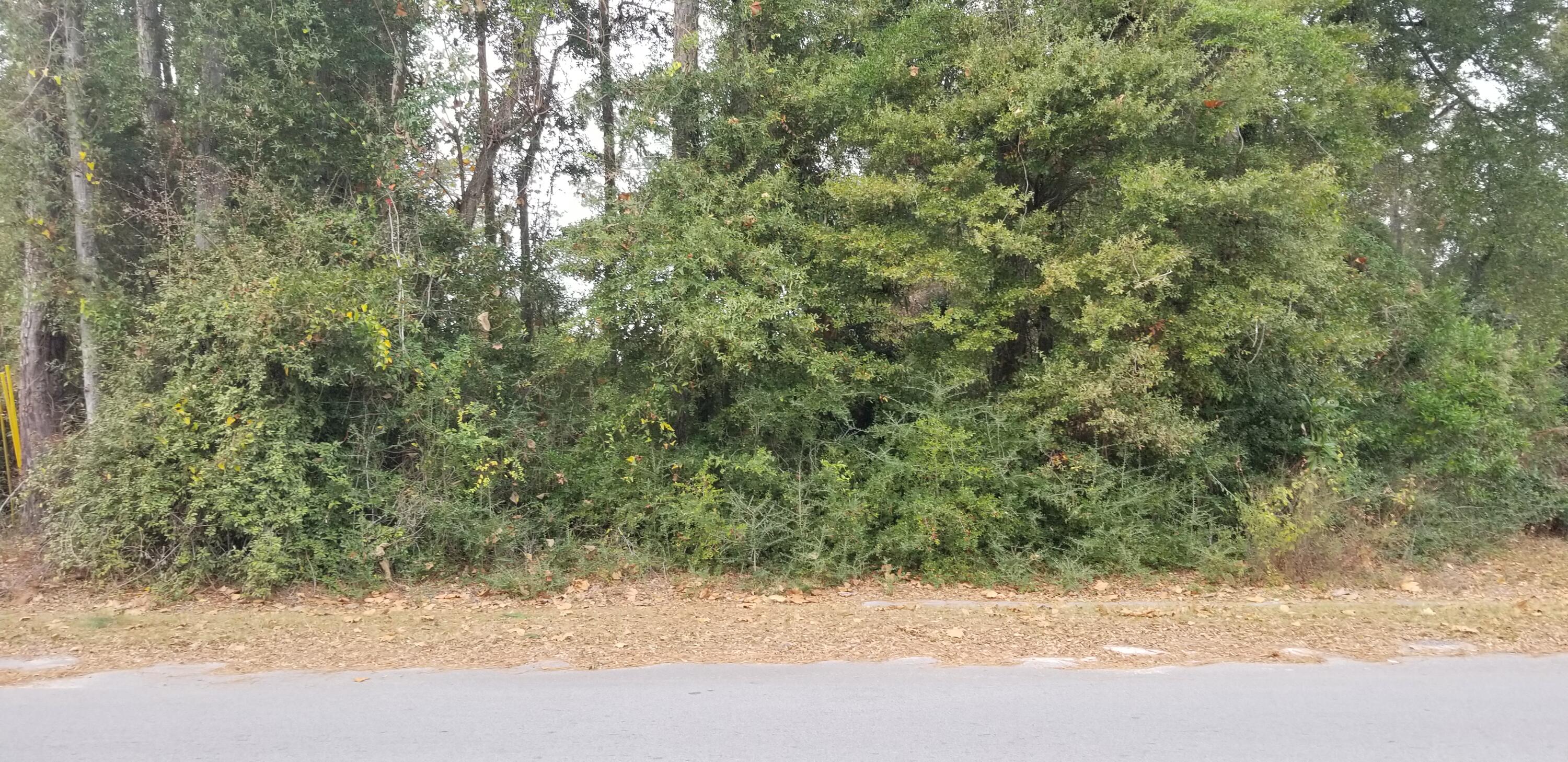 0 North Lemacks Street Walterboro, SC 29488 - Photo 1 of 5 20251125_114141