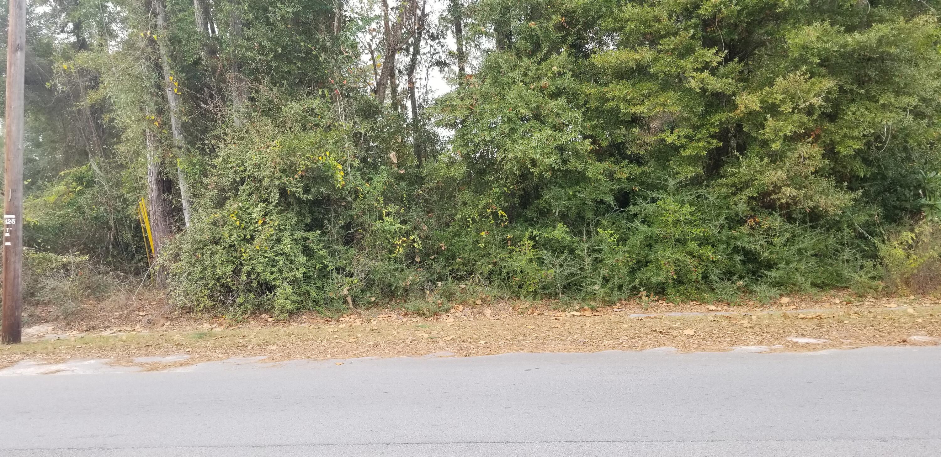 0 North Lemacks Street Walterboro, SC 29488 - Photo 5 of 5 20251125_114153