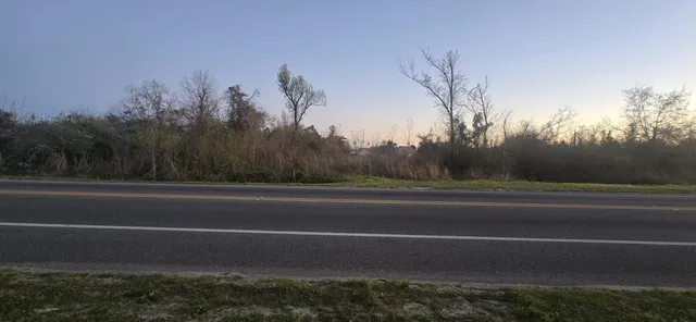 a backyard of a house with lots of green space