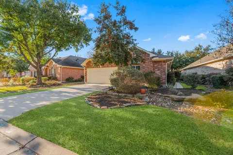 a view of a yard with plants and trees