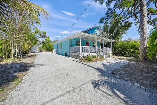 a view of a field with a tree