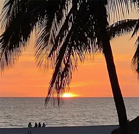 a view of a yard with plants and large trees