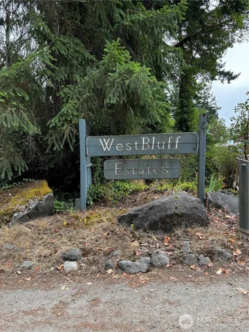 a view of a yard along with trees