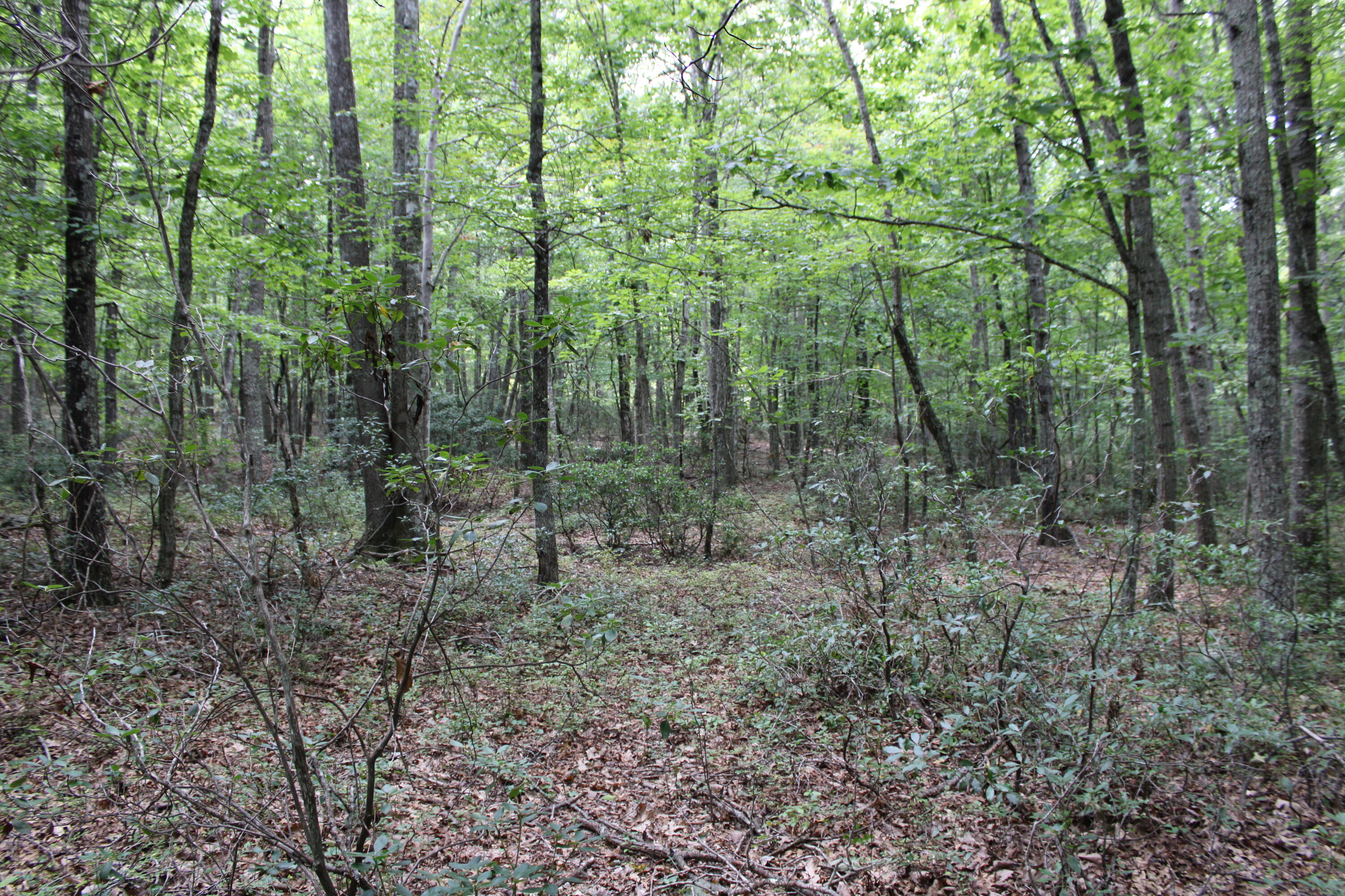 2816 Johns Creek Road New Castle, VA 24127 - Photo 50 of 96 IMG_0066
