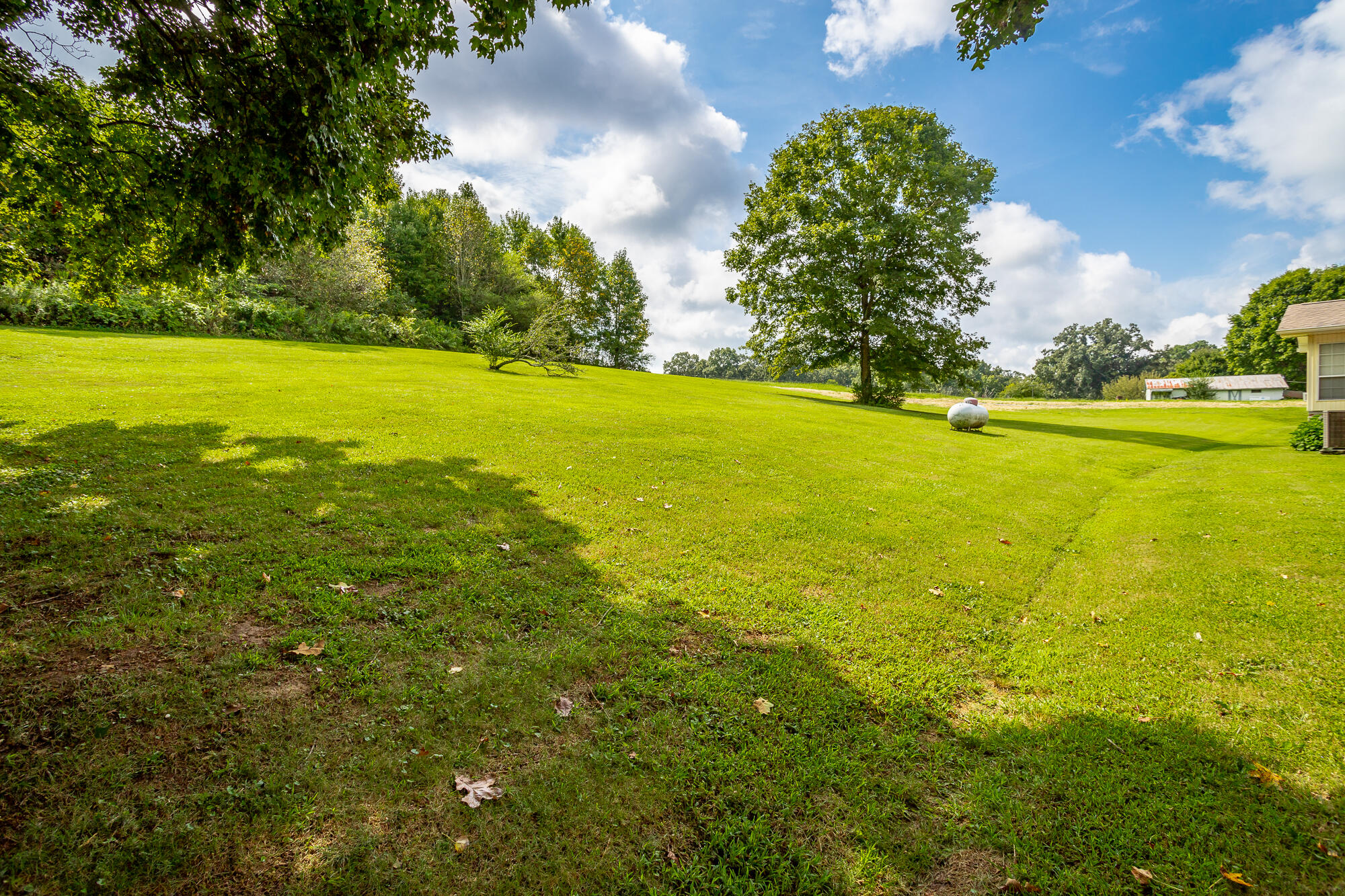 5589 Blue Springs Road Cleveland, TN 37311 - Photo 61 of 92 5589 Blue Springs Road HD-60