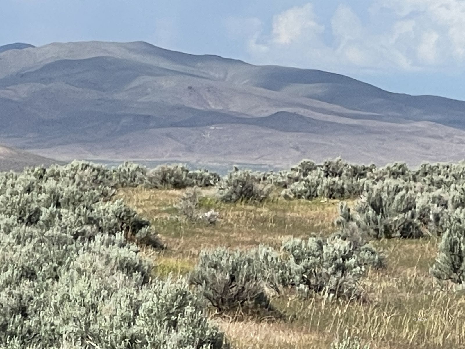 2-5 Acre Button Point Winnemucca, NV 89445 - Photo 14 of 23
