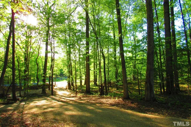 a view of backyard with tree