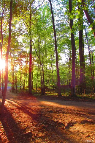a view of road with trees
