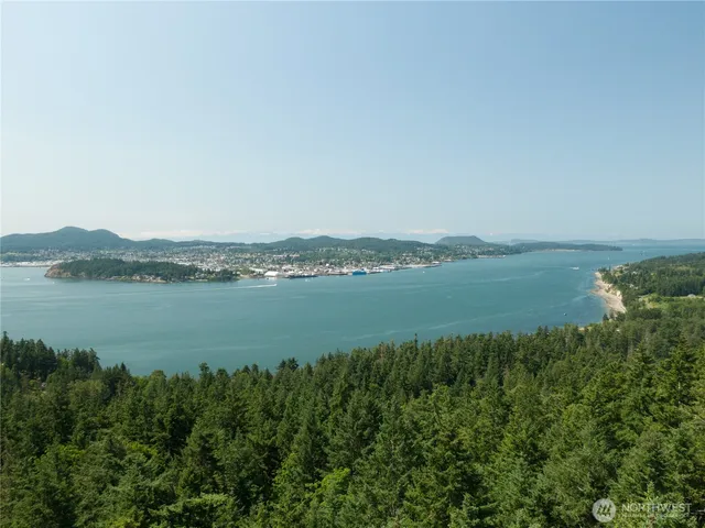 a view of a lake with a city