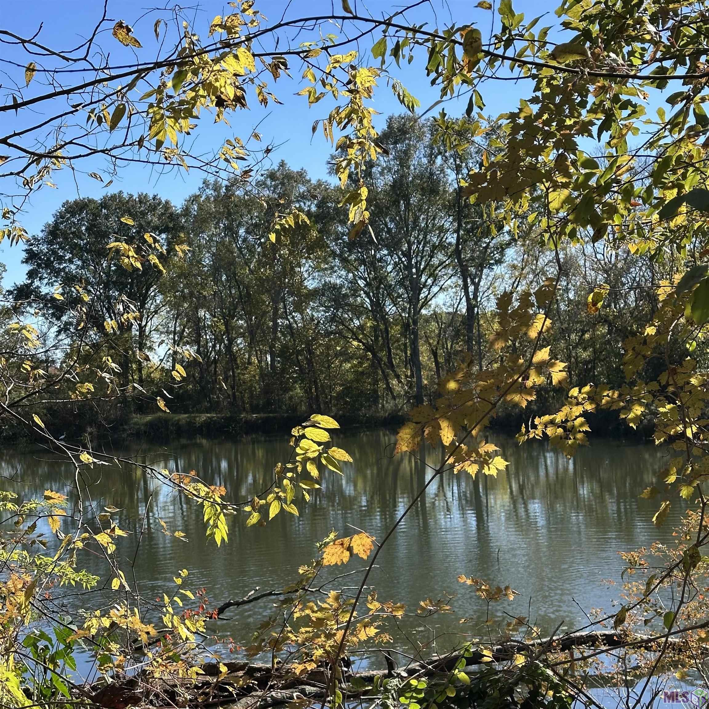 3833 Valentine Road Baton Rouge, LA 70816 - Photo 11 of 14