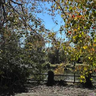 $749,000 | 3833 Valentine Road, Baton Rouge, LA 70816