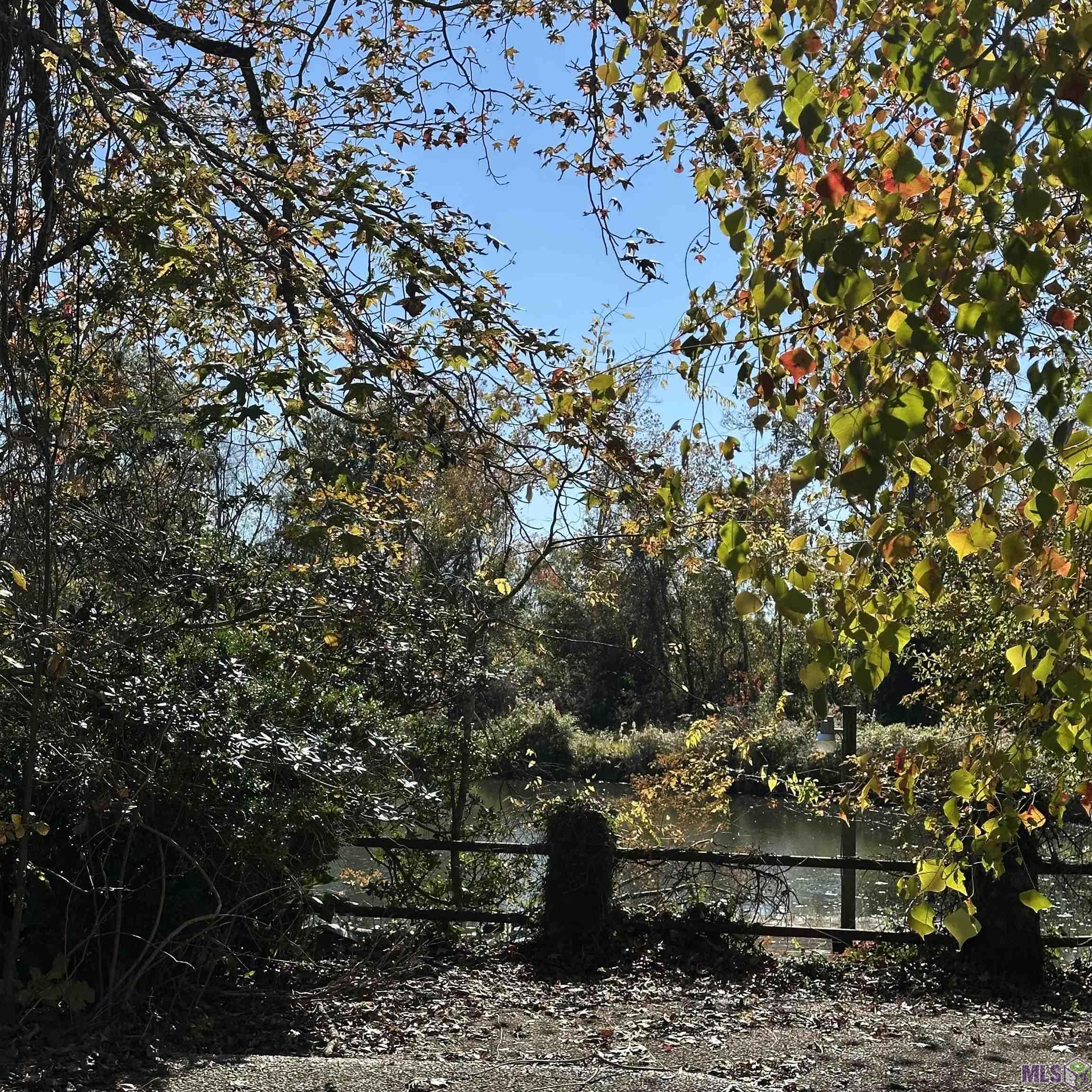 3833 Valentine Road Baton Rouge, LA 70816 - Photo 12 of 14