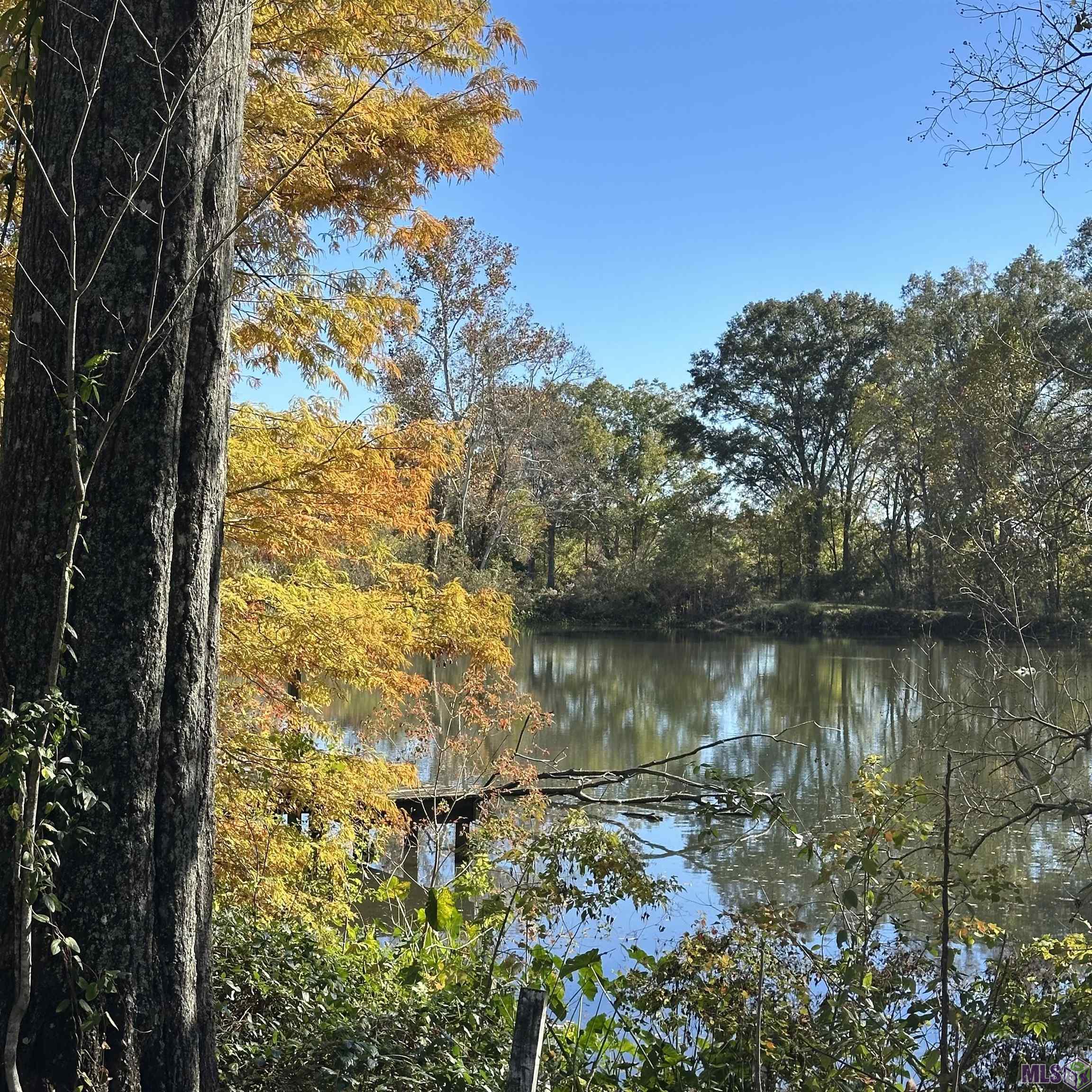 3833 Valentine Road Baton Rouge, LA 70816 - Photo 4 of 14