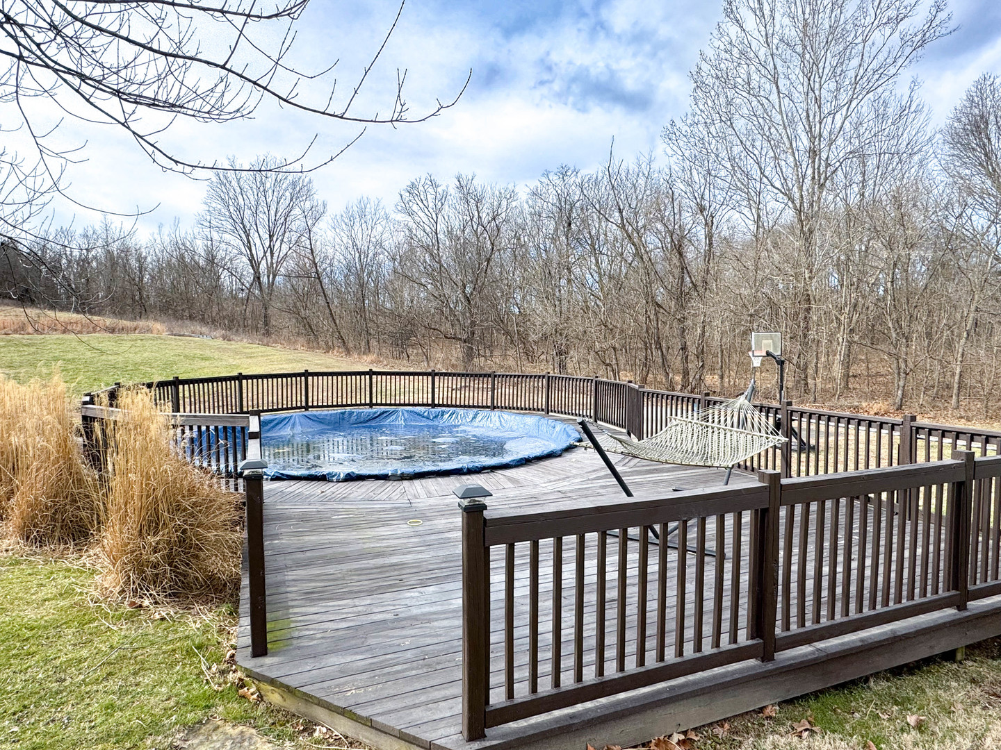 385 Toledo Cemetery Road Cobden, IL 62920 - Photo 12 of 38 a view of a backyard