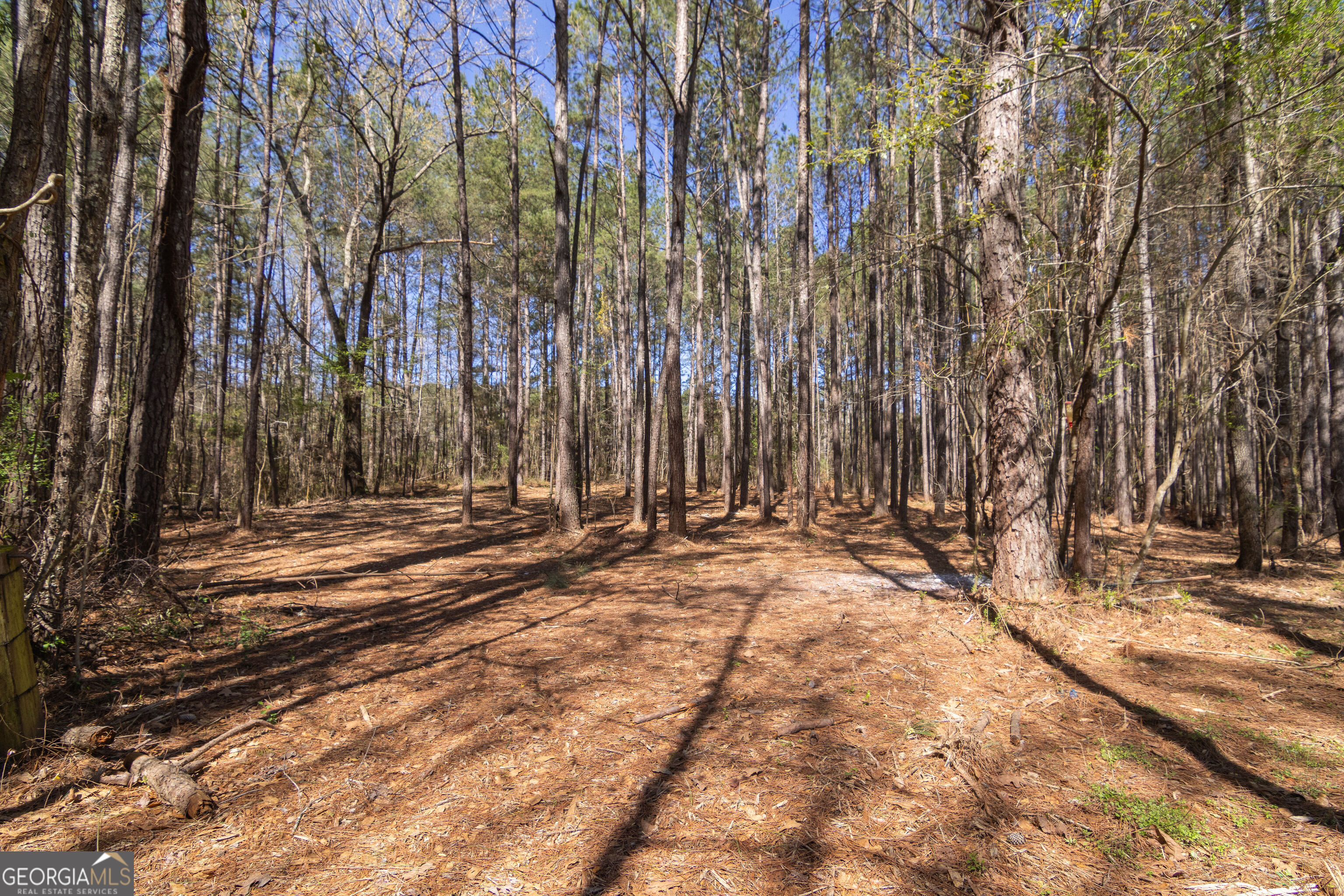 331 Deerfield Road Hogansville, GA 30230 - Photo 63 of 64