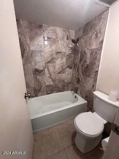 a bathroom with a toilet and a bathtub